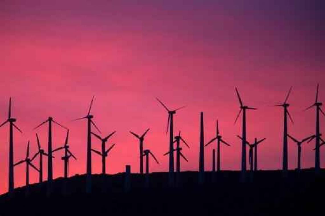 "Voor biomassacentrale zijn er 200 windmolens nodig"
