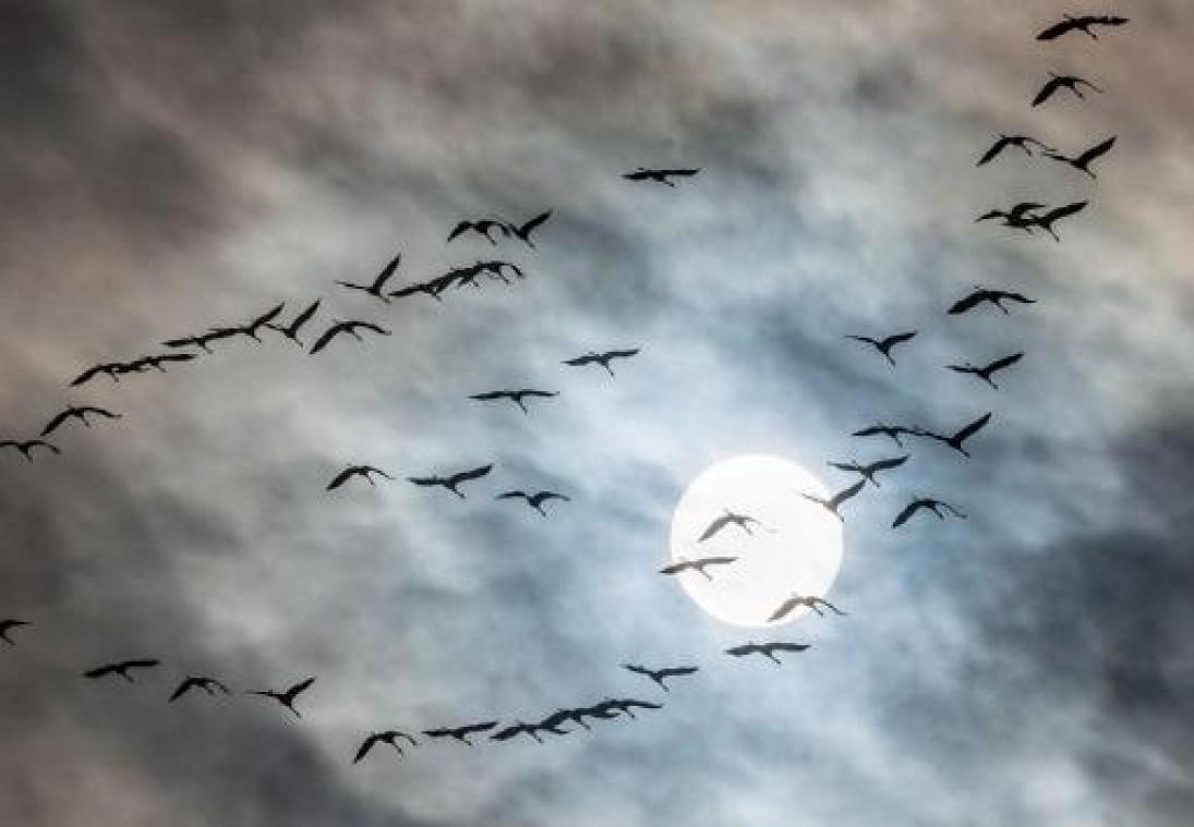 Weerbericht: droog maar grijs weer in Vlaanderen