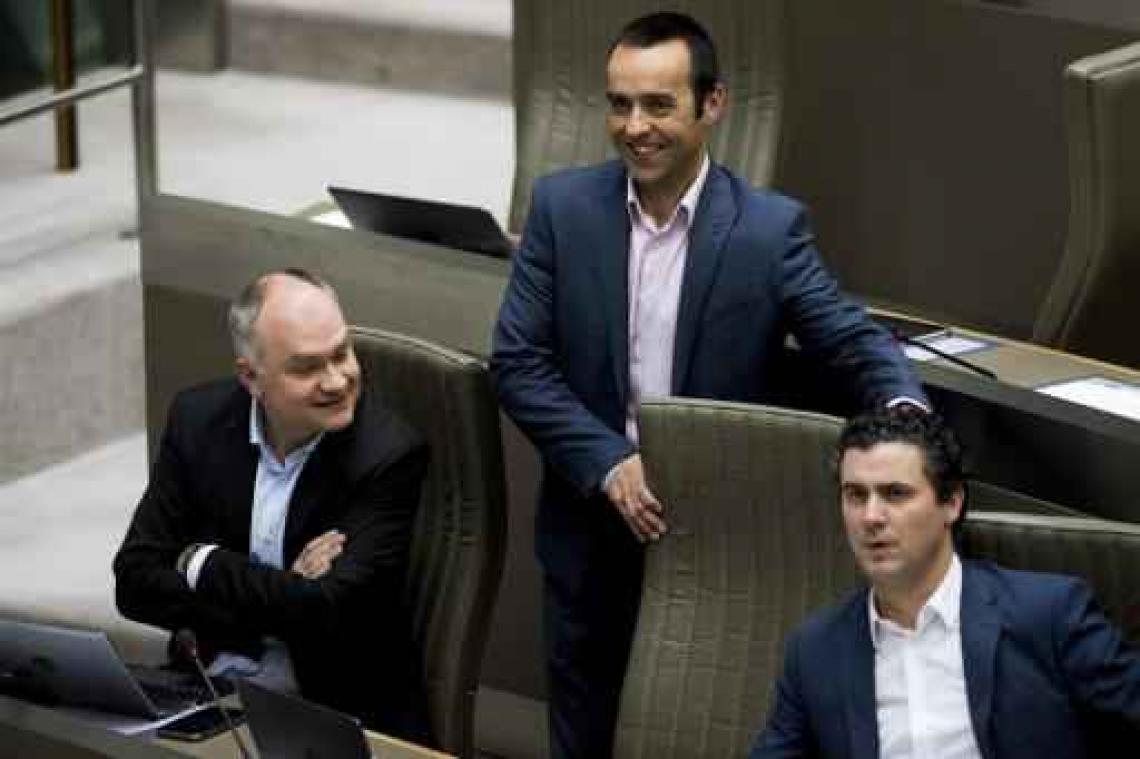 Groen wil dat Vlaams Parlement biomassacentrales wegstemt