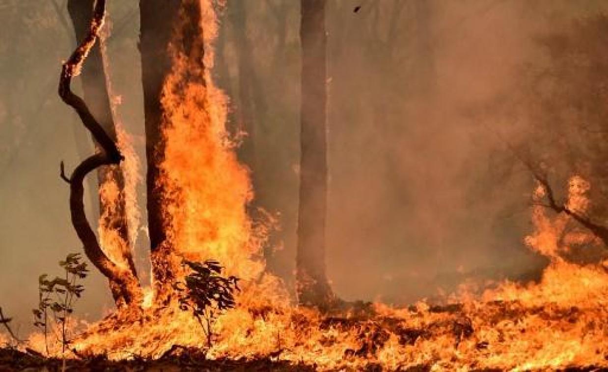 Nieuwe hittegolf trekt over het zuiden van Australië