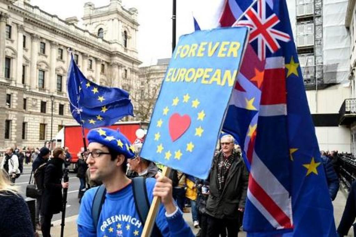 Protesten voor en tegen brexit in Groot-Brittannië