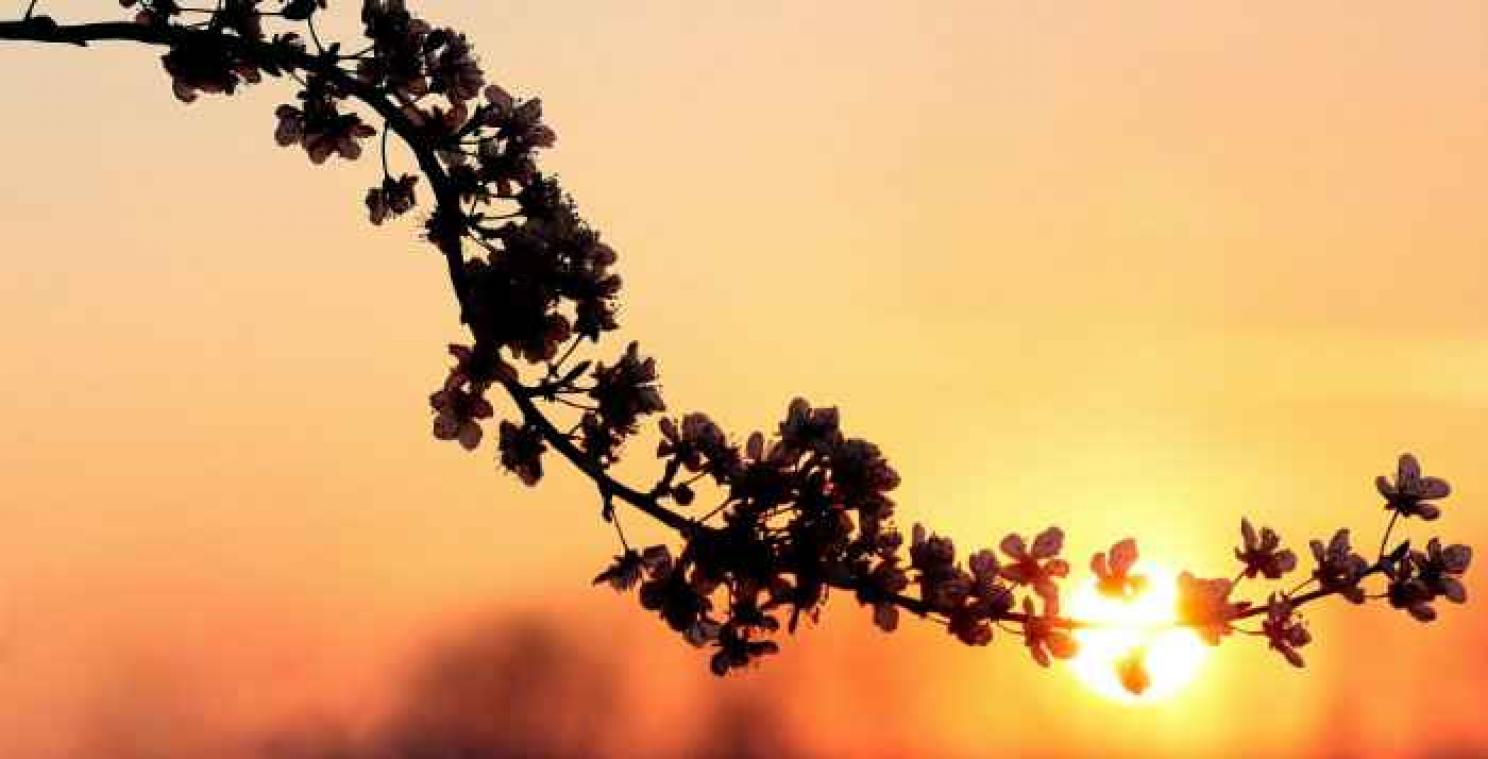 Dit weekend is België de warmste plek van Europa