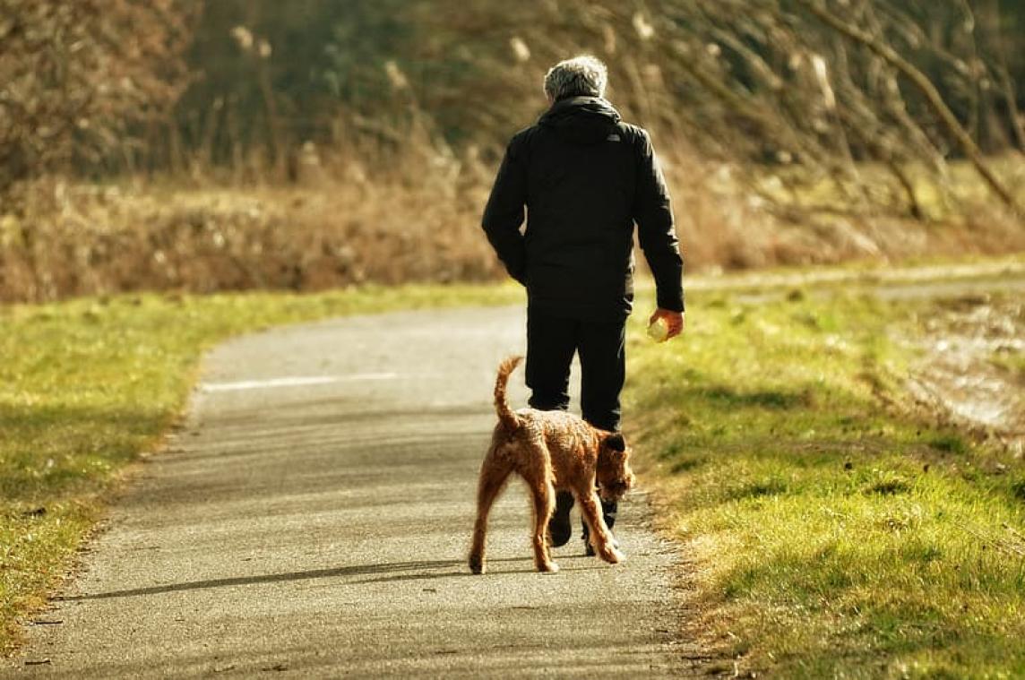 Bizar. Man doet stinkende ontdekking tijdens het wandelen