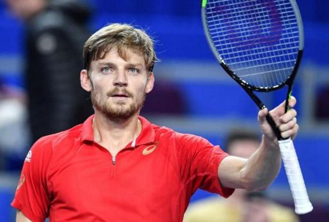 ATP Montpellier - David Goffin mag naar halve finales