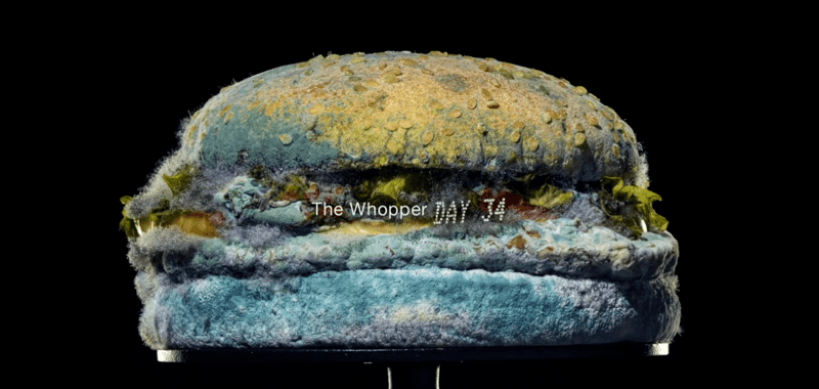 BIZAR. Burger King wil mensen Whoppers doen eten door... beschimmelde hamburger