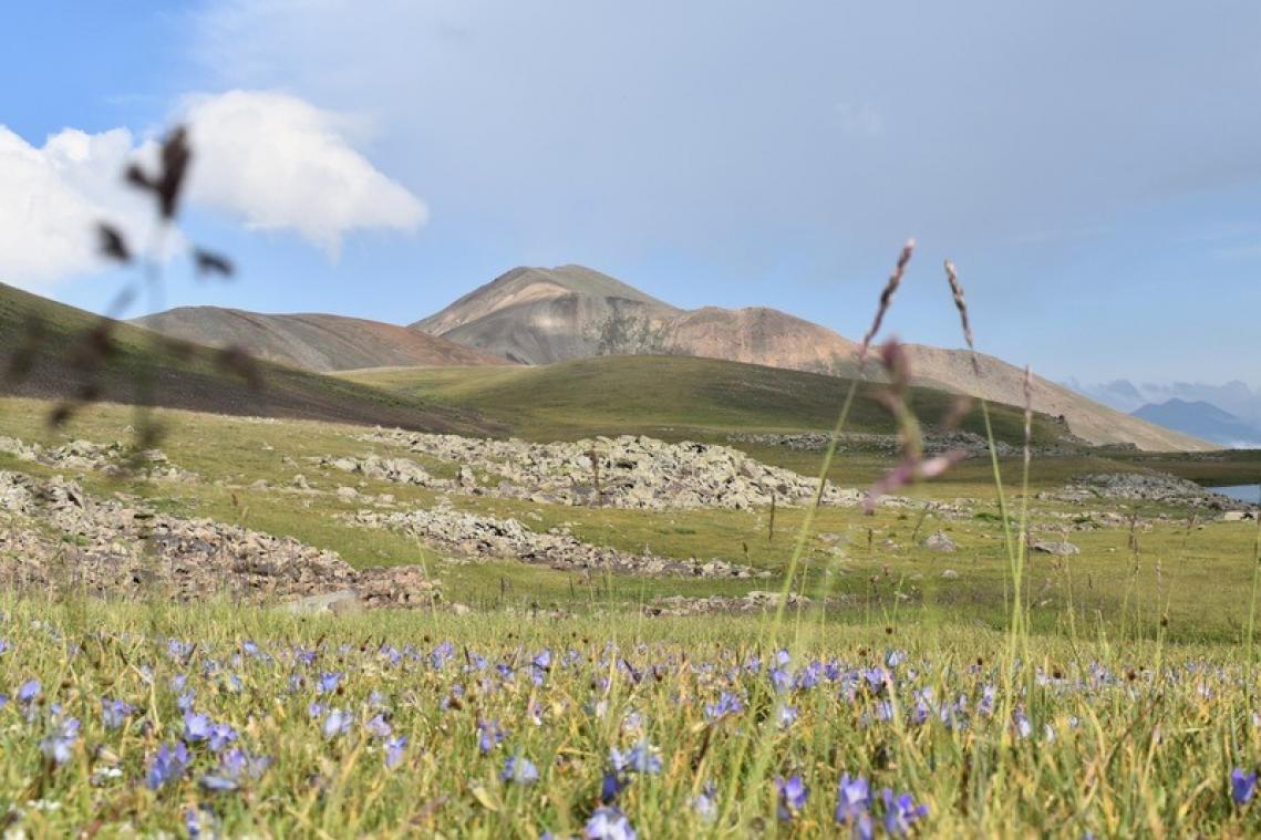 CHECK-IN. Vijf keer kippenvel in Armenië