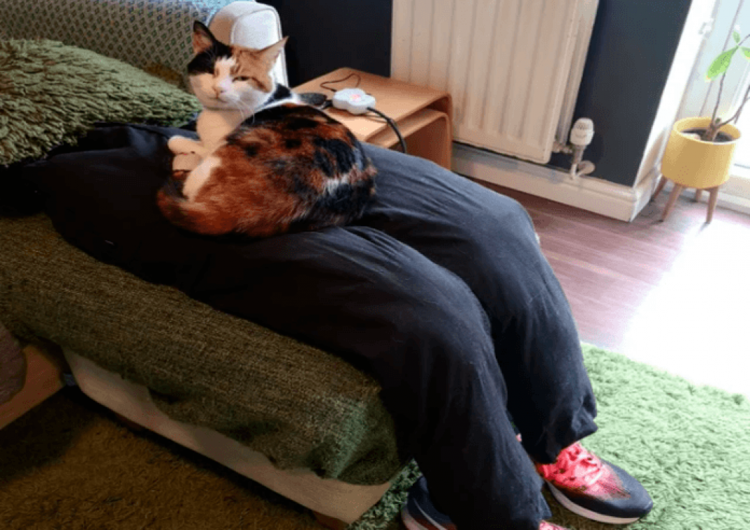 Baasjes vinden creatieve oplossing voor overaanhankelijke kat die van geen schoot wil wijken