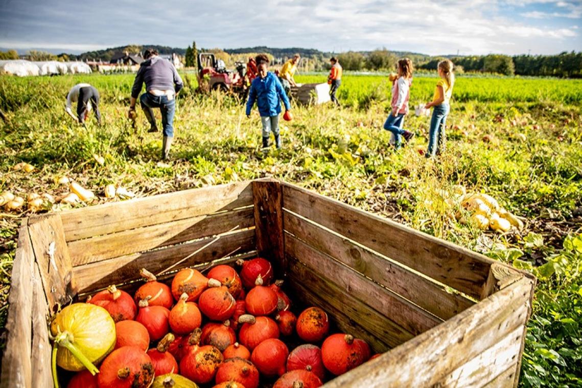 Delen en herverdelen maakt de wereld beter