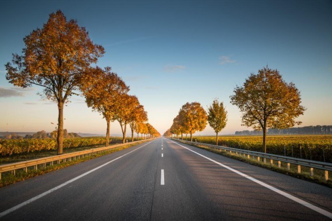 BIZAR. Slapende passagier valt uit rijdende auto en wordt doodgereden