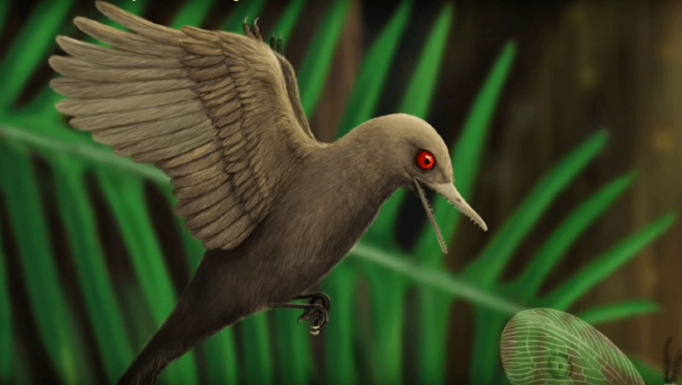 Kleinste dinosaurus ooit ontdekt in Myanmar