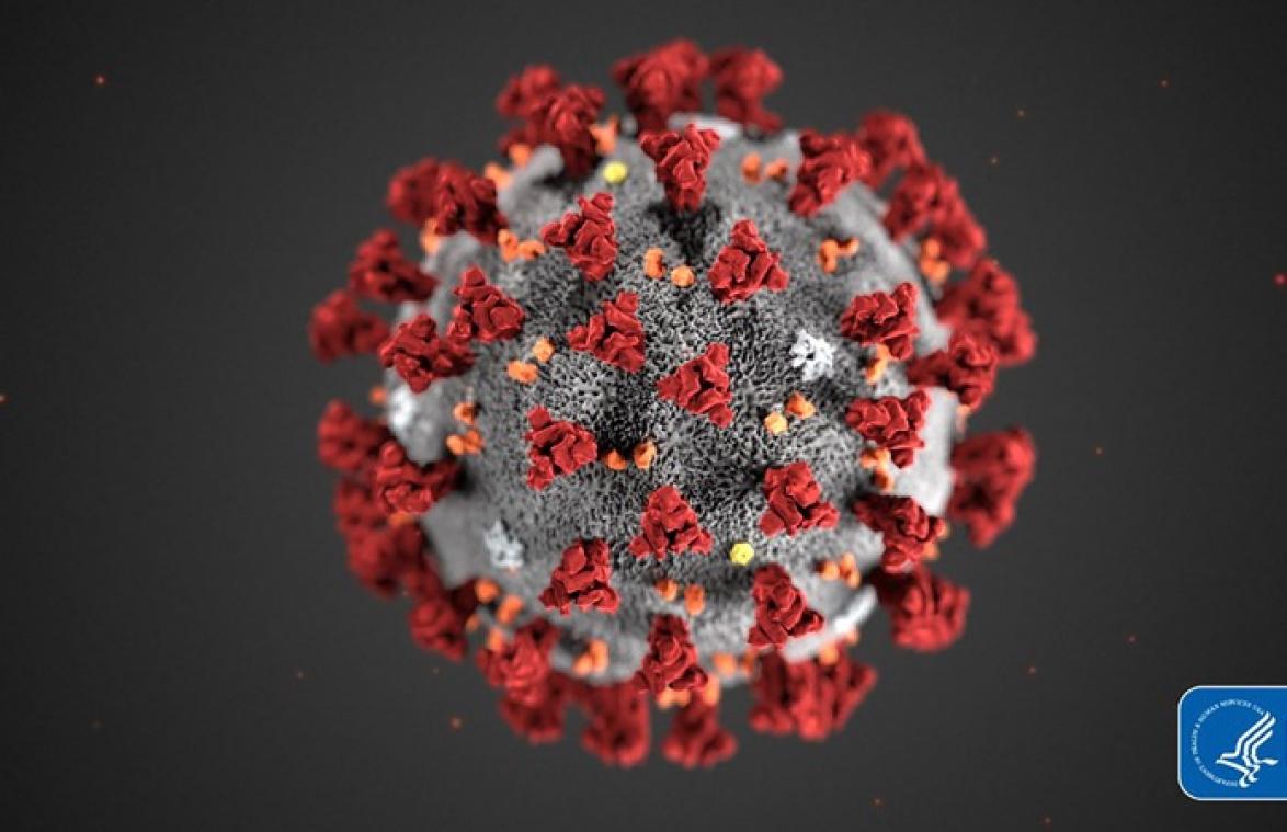 Foto's tonen hoe coronavirus schade aanricht aan longen
