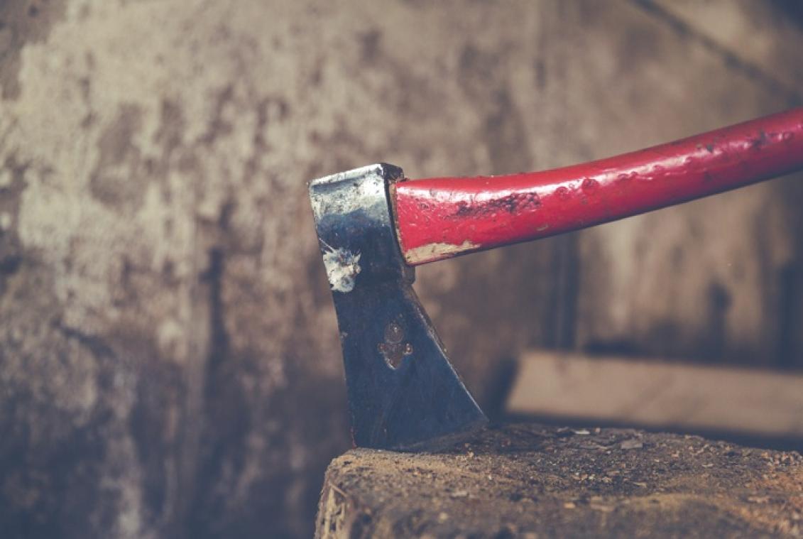 Vier Antwerpse teambuildingactiviteiten die je collega's niet zullen haten