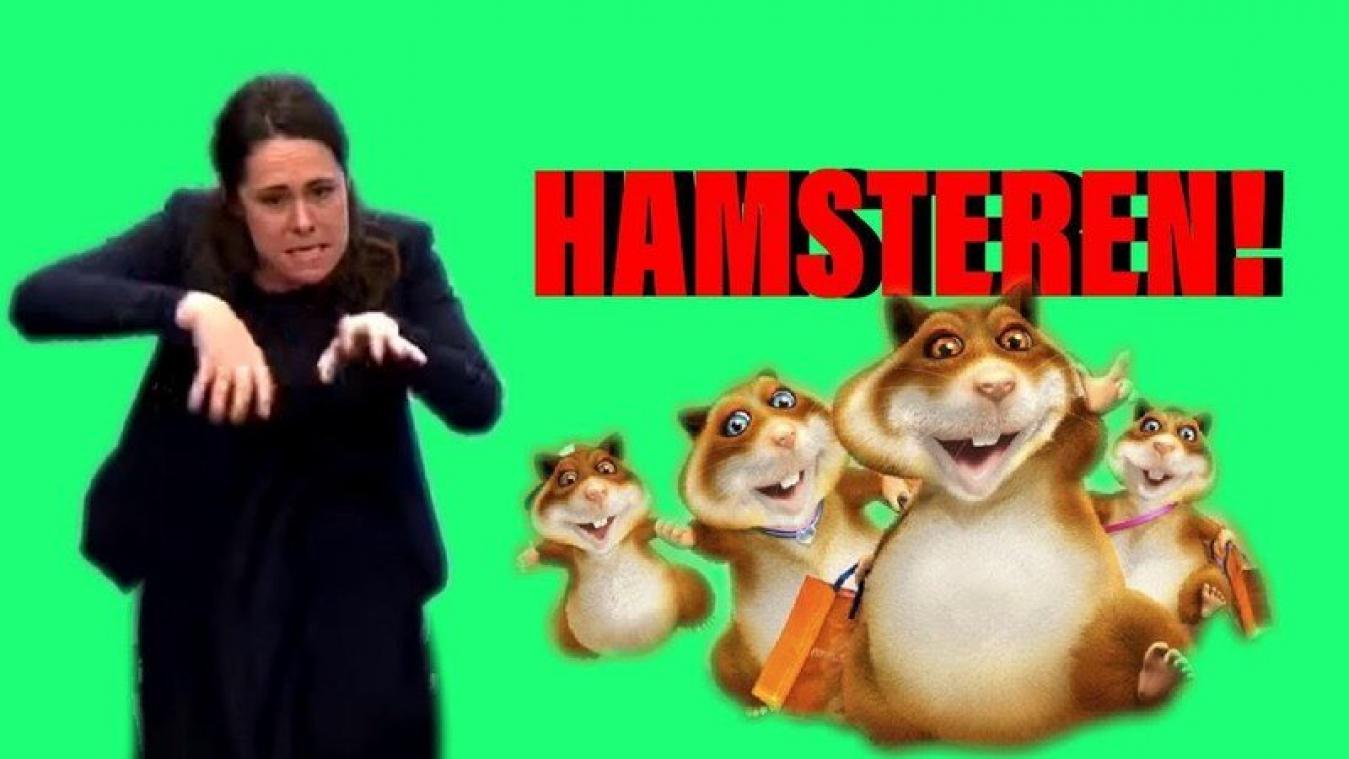 VIDEO. HILARISCH. Zo ziet 'hamsteren' er in gebarentaal uit