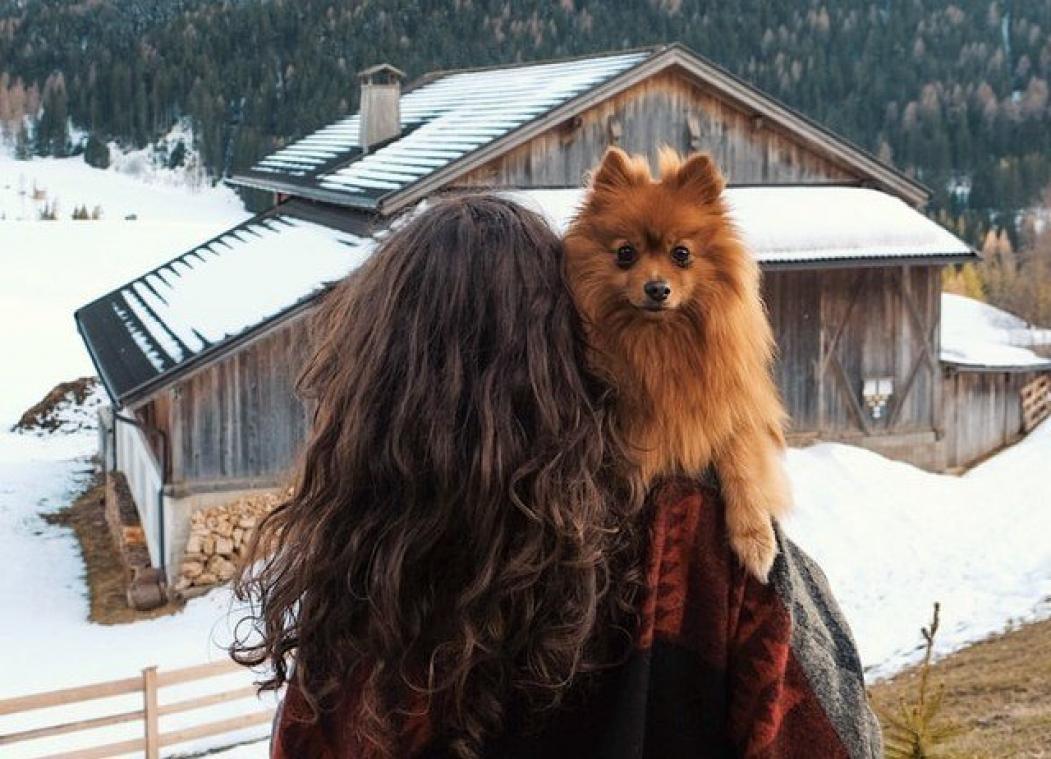 Dit is de reden waarom honden zo vriendelijk zijn