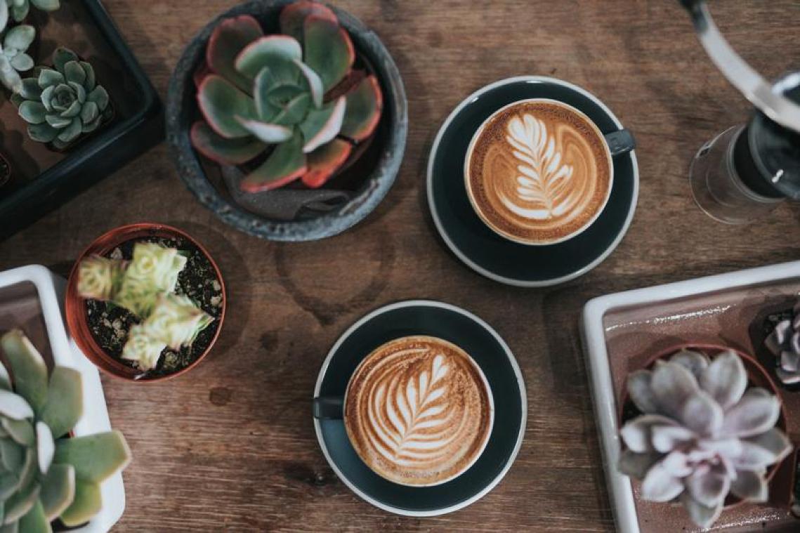 Vijf Belgische webshops voor koffiesnobs