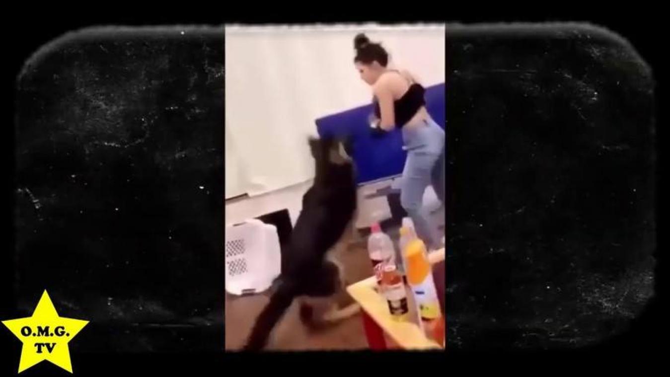 VIDEO. Vrouw die hond als boksbal gebruikt ligt onder vuur