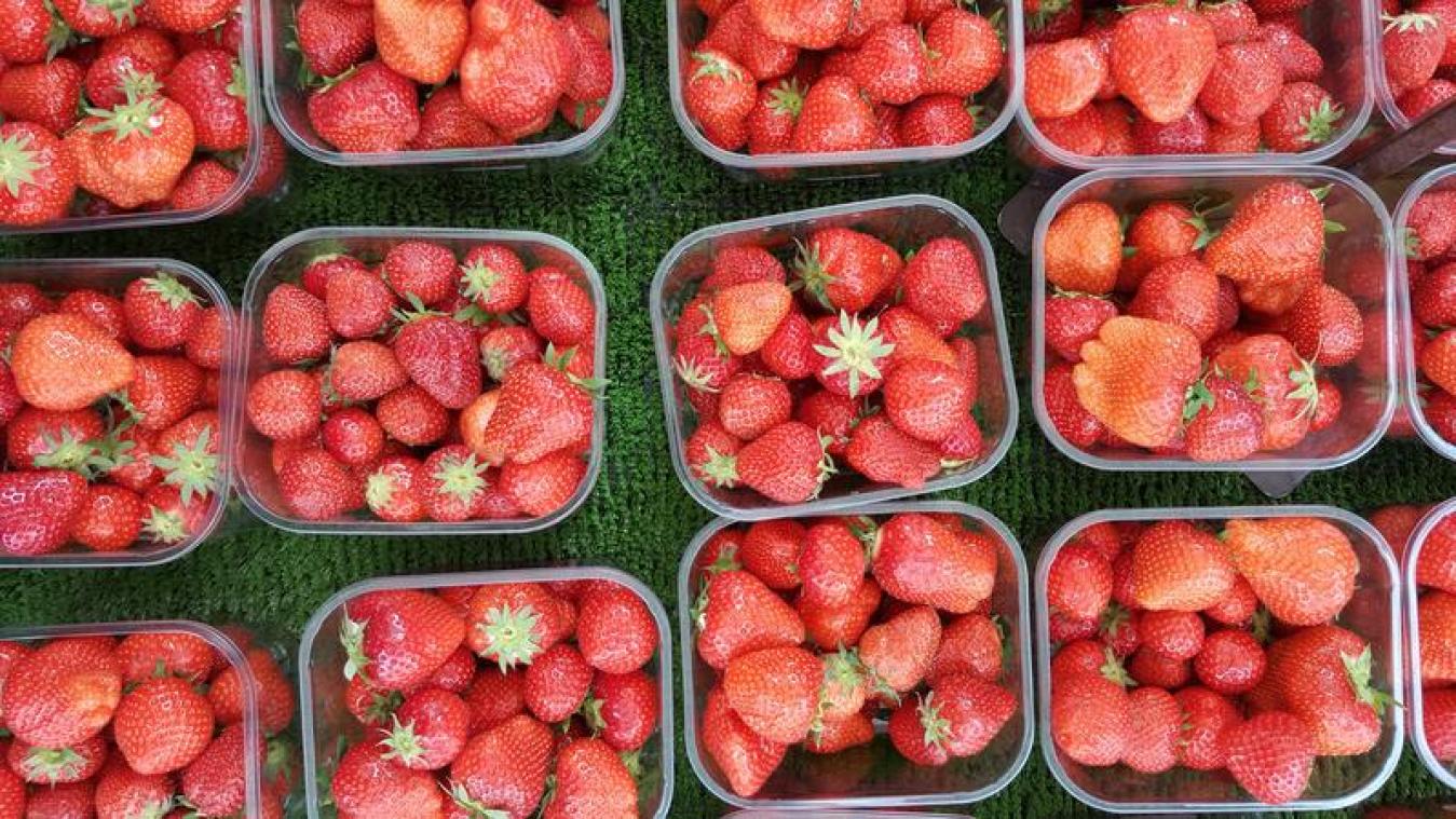 LIFEHACK. Dankzij dit trucje blijven je aardbeien langer vers