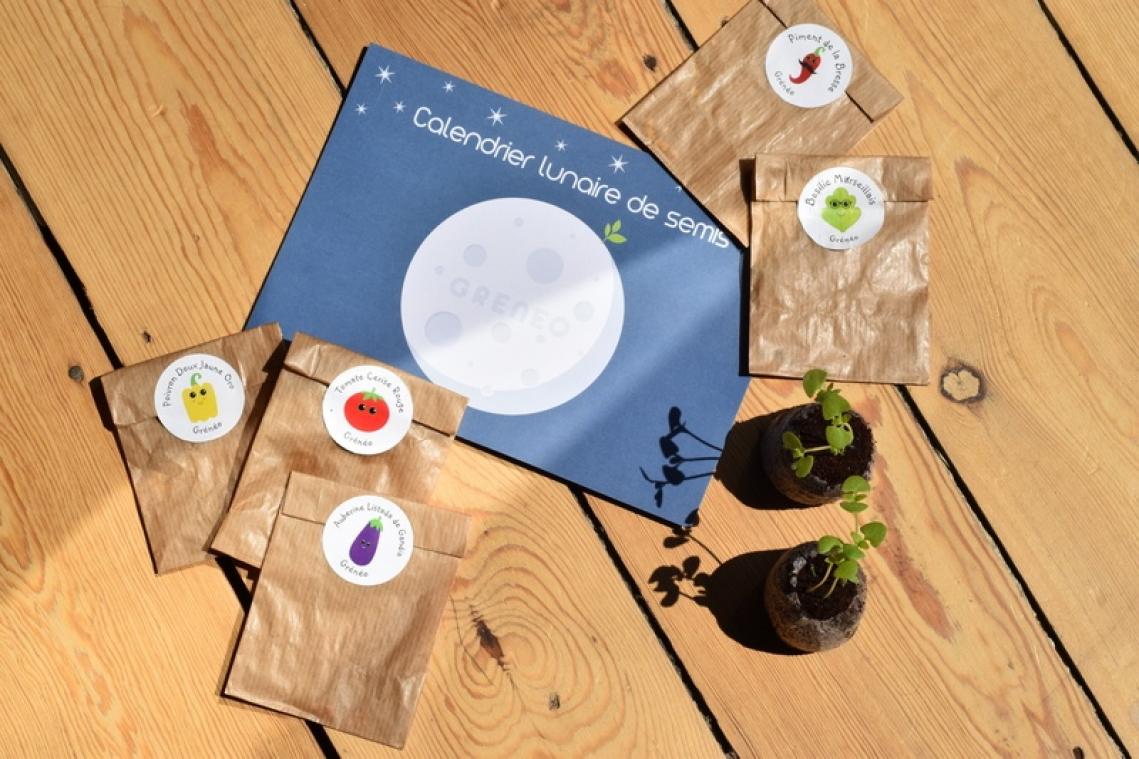 Geen groene vingers? Dan is deze moestuinbox precies wat je nodig hebt