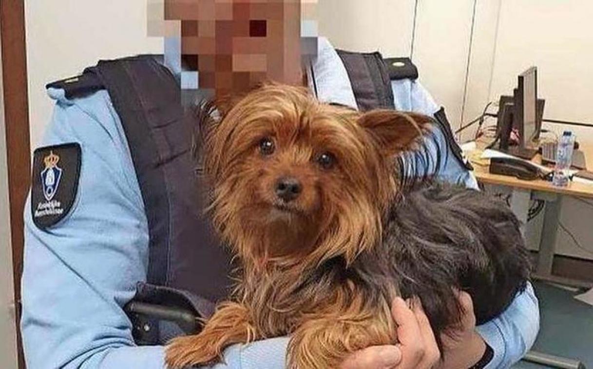 Man dumpt hond in vuilbak omdat die hotel niet in mag