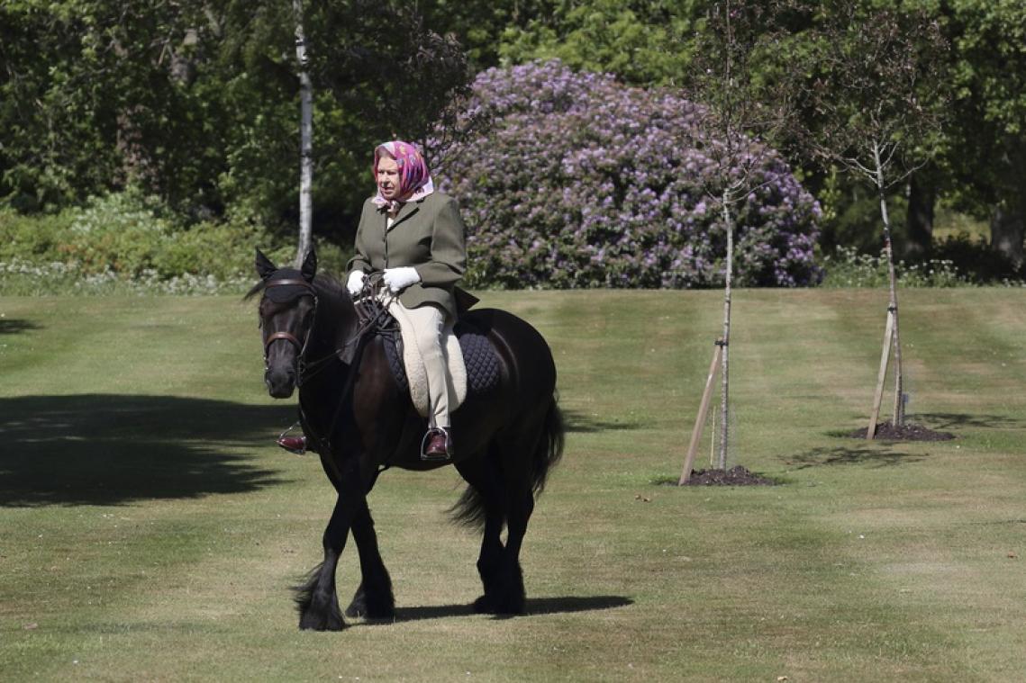 Queen Elizabeth voor het eerst in maanden buiten gespot... op haar pony