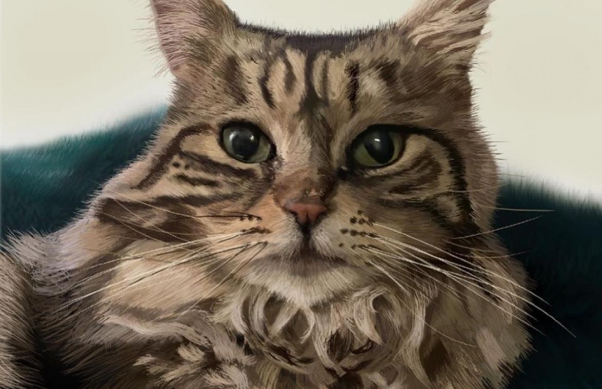 Geadopteerde kat is baasje zo dankbaar dat ze elke dag DIT doet (video)