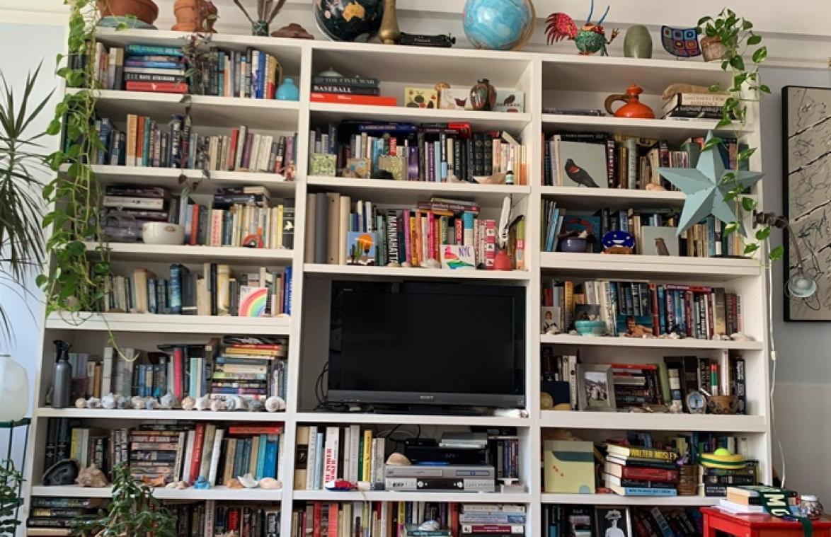Foto van kat die zich verstopt, gaat viraal. Vind jij ze?