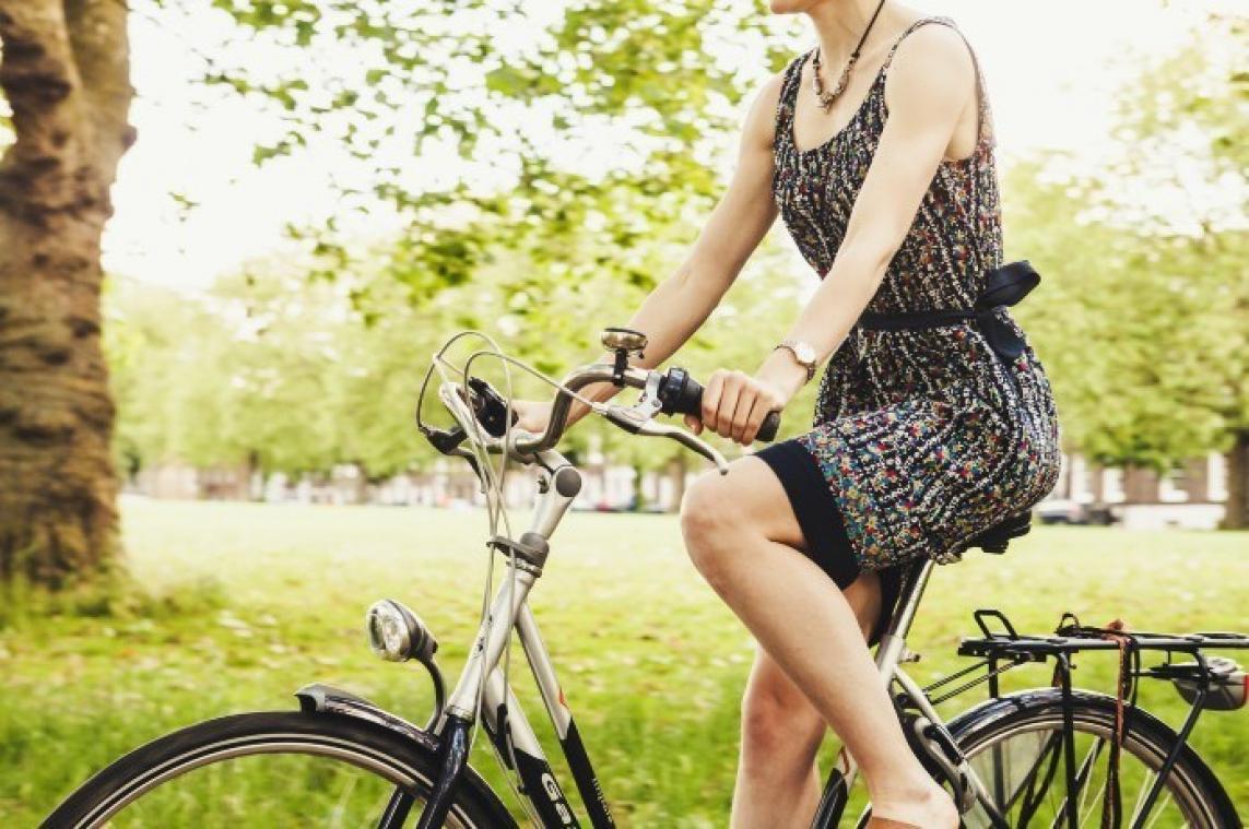 STAYCATION. Eerste CO2-neutraal vakantiedorp in België wordt in Spa gebouwd