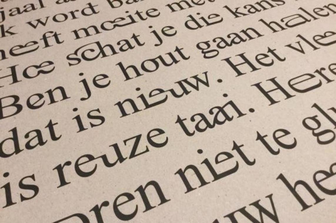 De Vlaamse Scriptieprijs: Nederlands lezen in een oogopslag