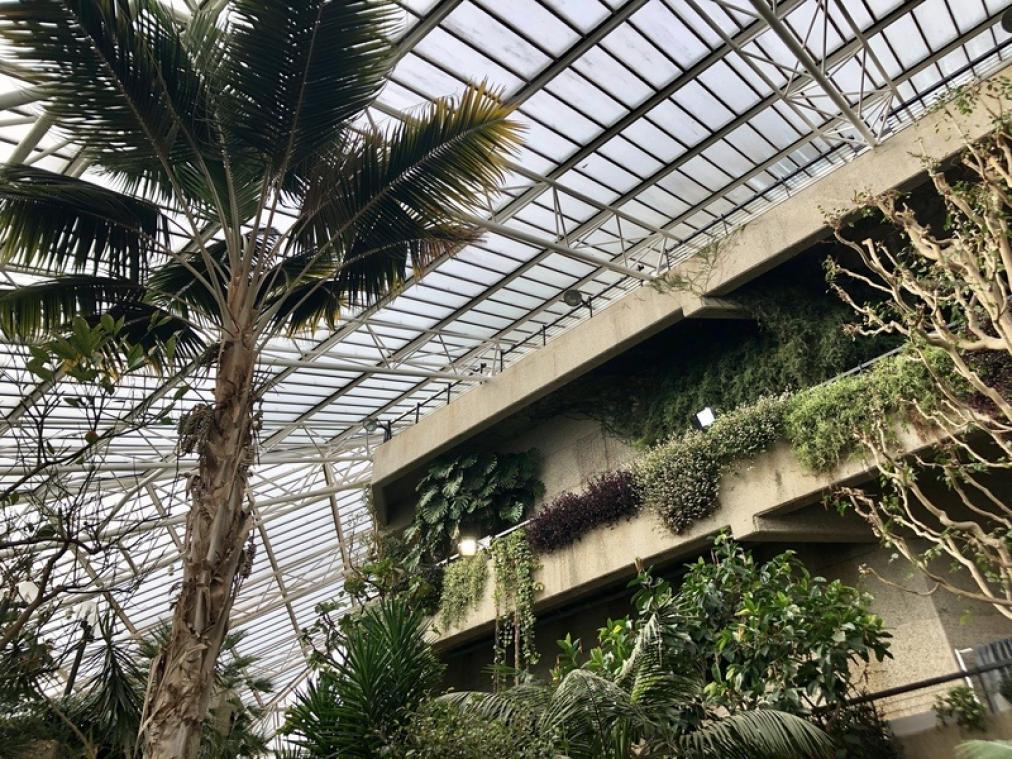 BUCKETLIST TIP. Een bezoekje aan het plantenparadijs van het Barbican Centre in Londen
