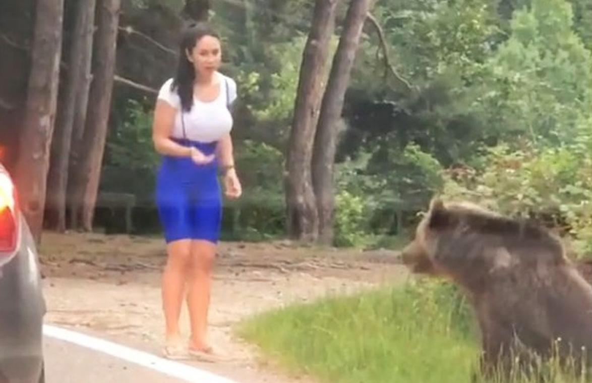 AKELIG! Vrouw stapt uit auto voor foto met beer, maar dan... (video)