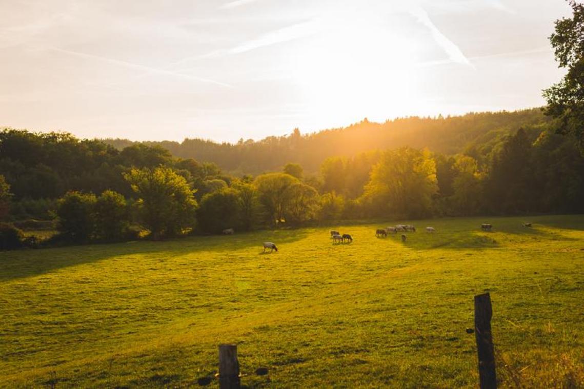 Staycation in de Ardennen gepland? Dan is deze fotowedstrijd wat voor jou