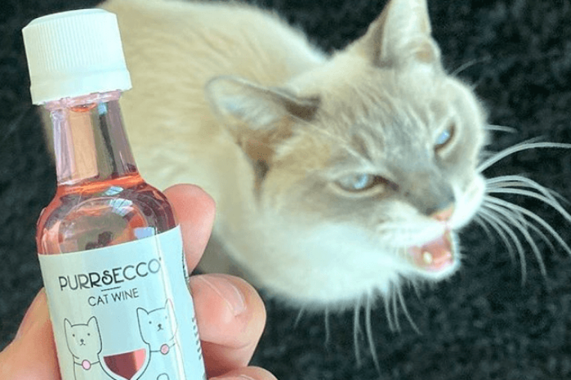 Purrsecco, Pinot Meow of Catbernet: Webshop verkoopt wijn voor... katten