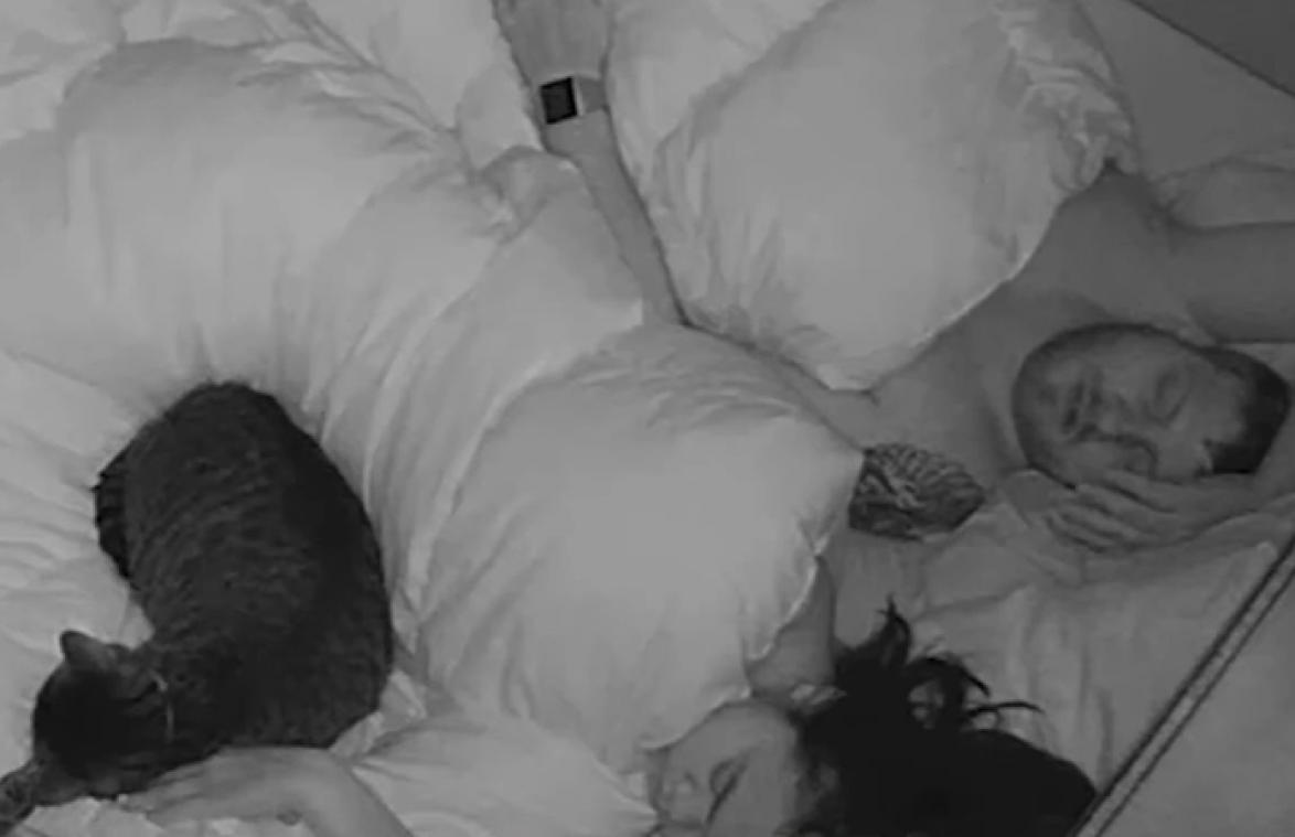 Zo wil je echt niet wakker gemaakt worden door je kat... (video)