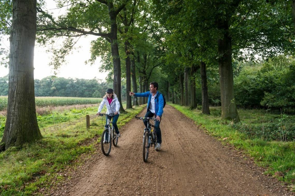 STAYCATION. Fiets langs de Kempische landloperskolonies