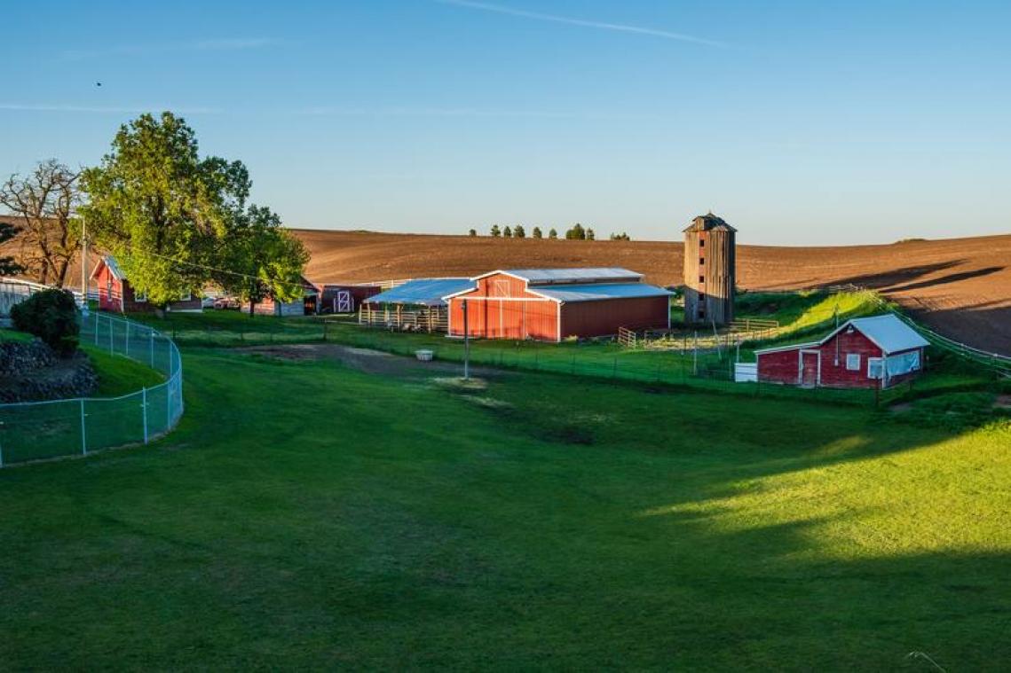 Kamperen op de boerderij? Waarom niet?