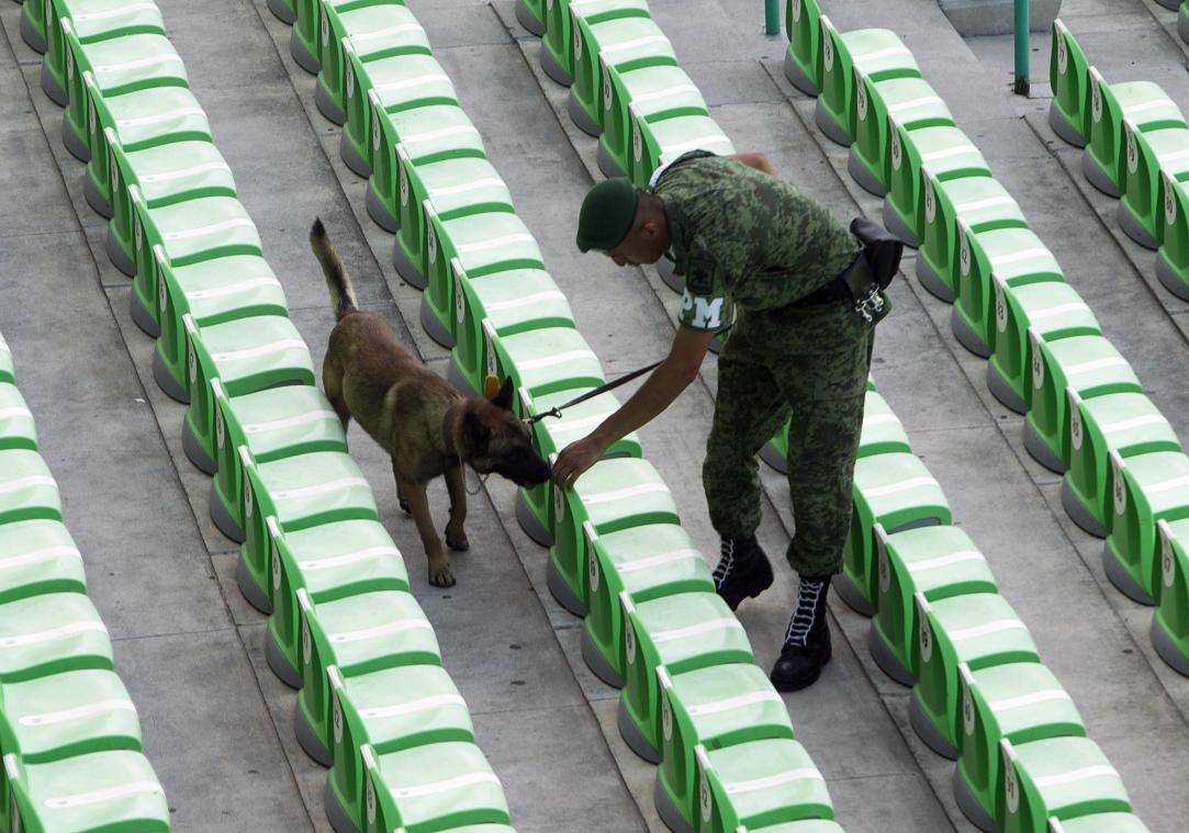 Defensie schakelt honden in om coronavirus op te sporen