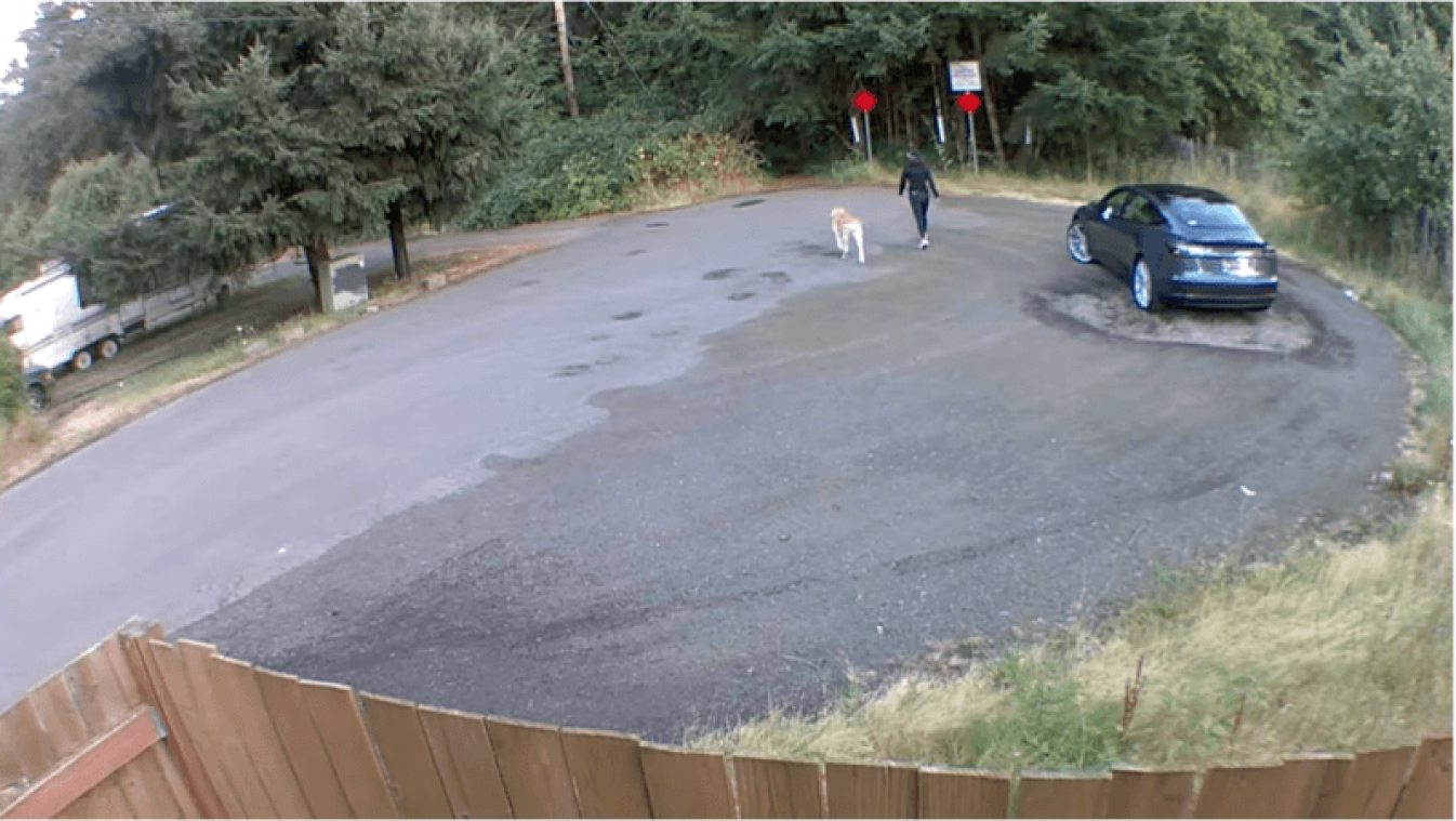 Vreselijk! Baasje laat labrador achter in het bos en rijdt vervolgens weg in haar Tesla (video)