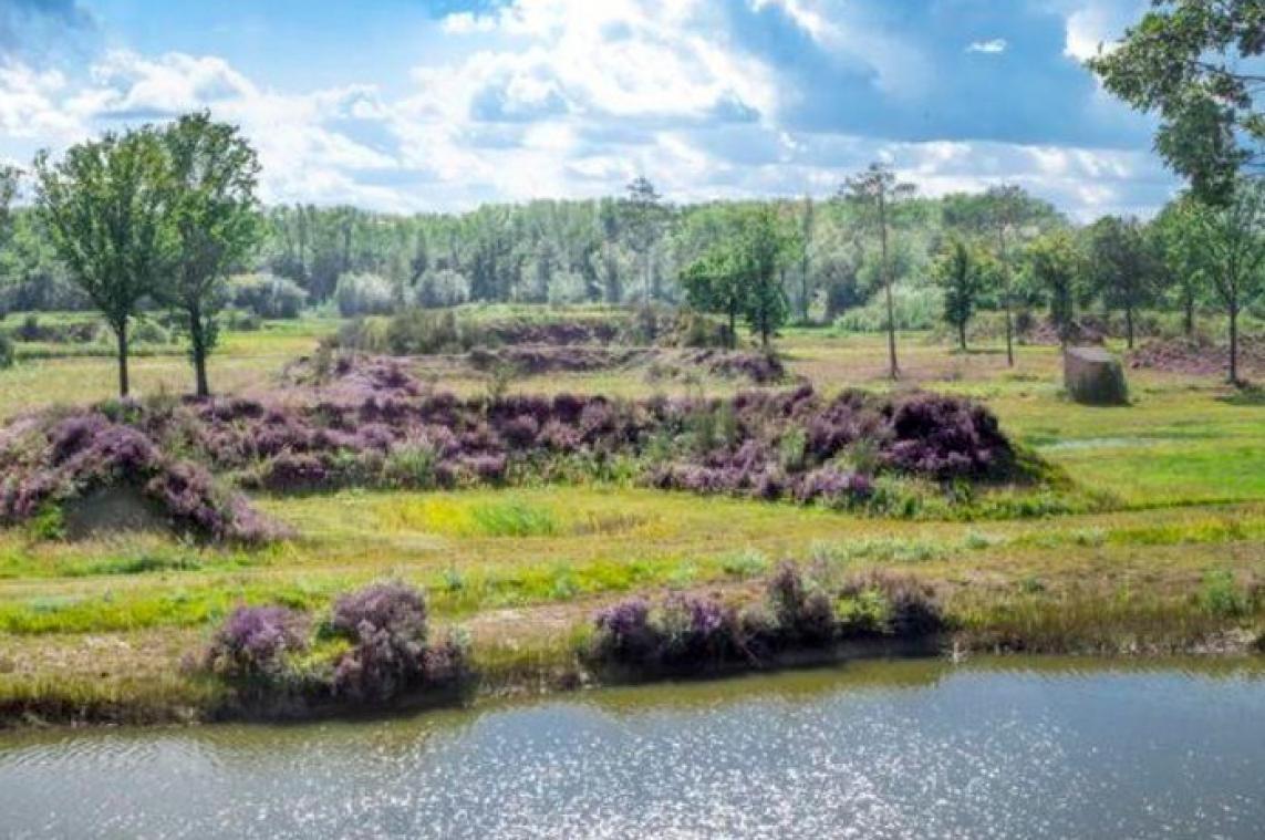 West-Vlaanderen is meer dan kust alleen: ontdek al peddelend de polders