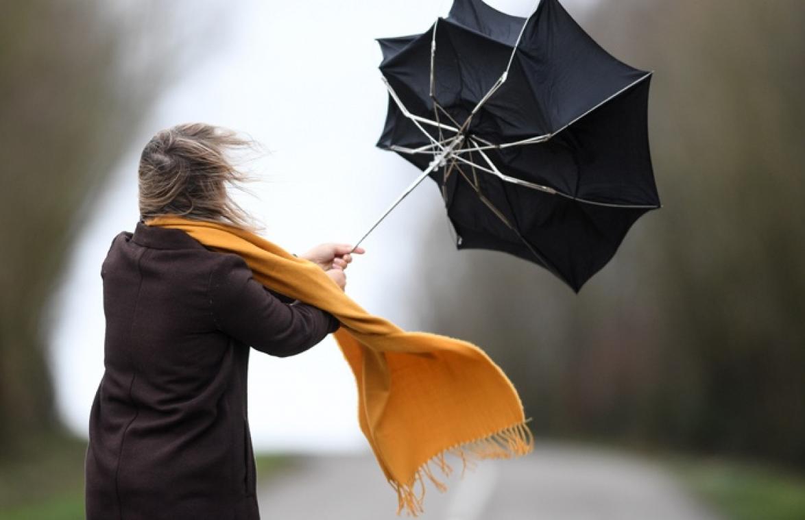 Frank Deboosere waarschuwt voor hevig stormweer: "Het is oppassen geblazen"