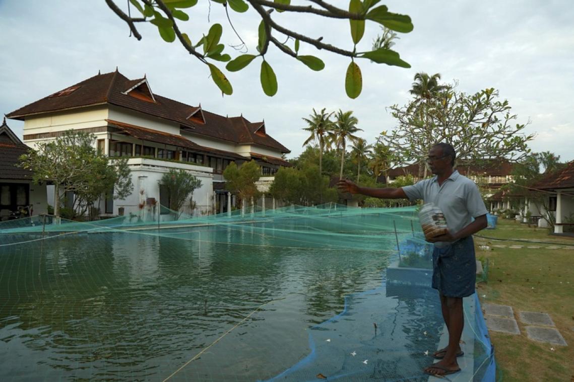 Met DEZE ingenieuze ingreep wil noodlijdend luxeresort coronacrisis overleven (foto)