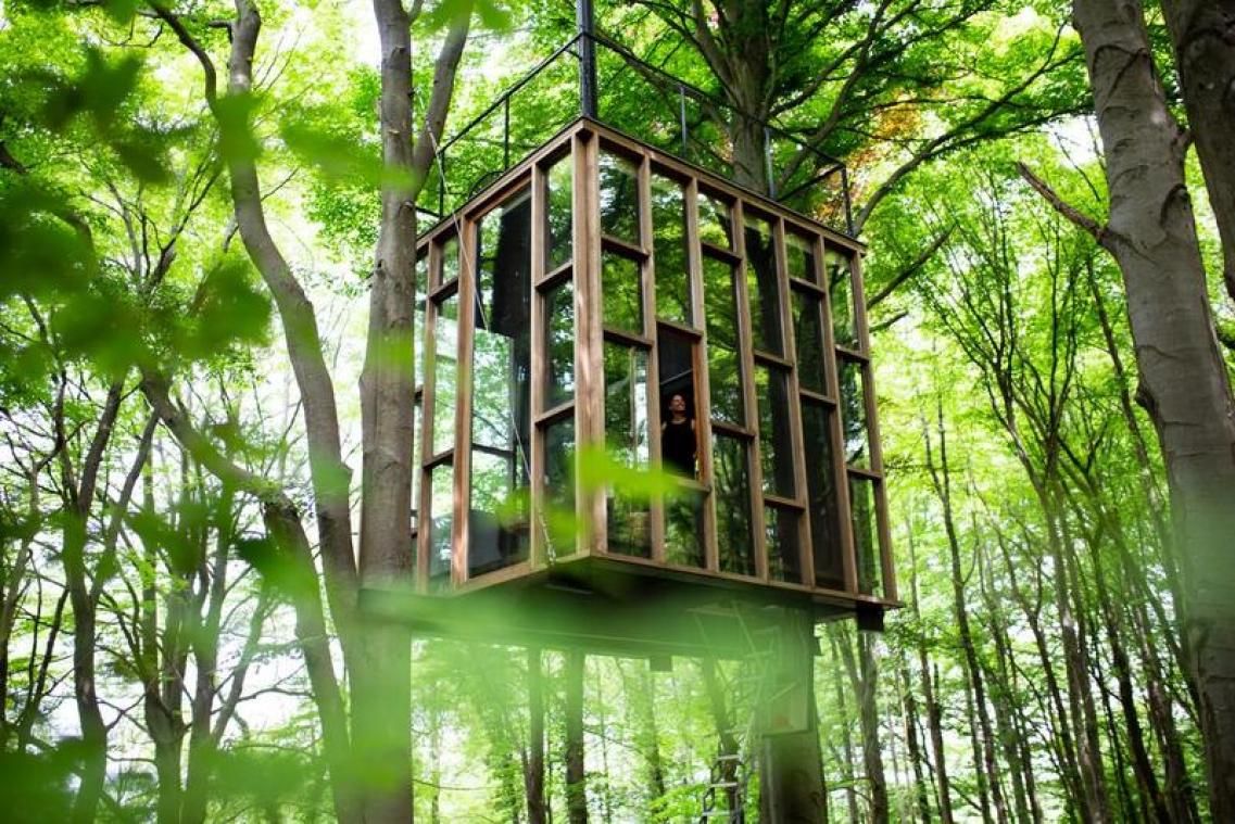 STAYCATION. Stijlvol onthaasten in de Ardennen