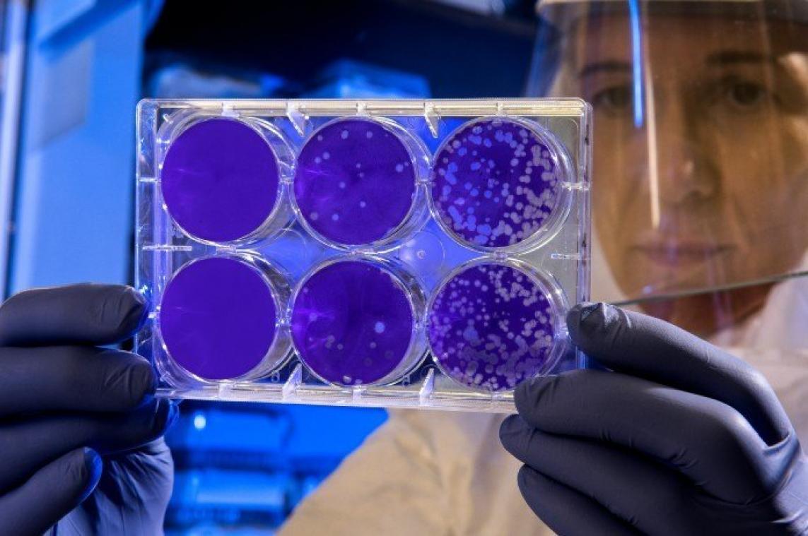 IEUW. Meer bacteriën in je auto dan op het toilet