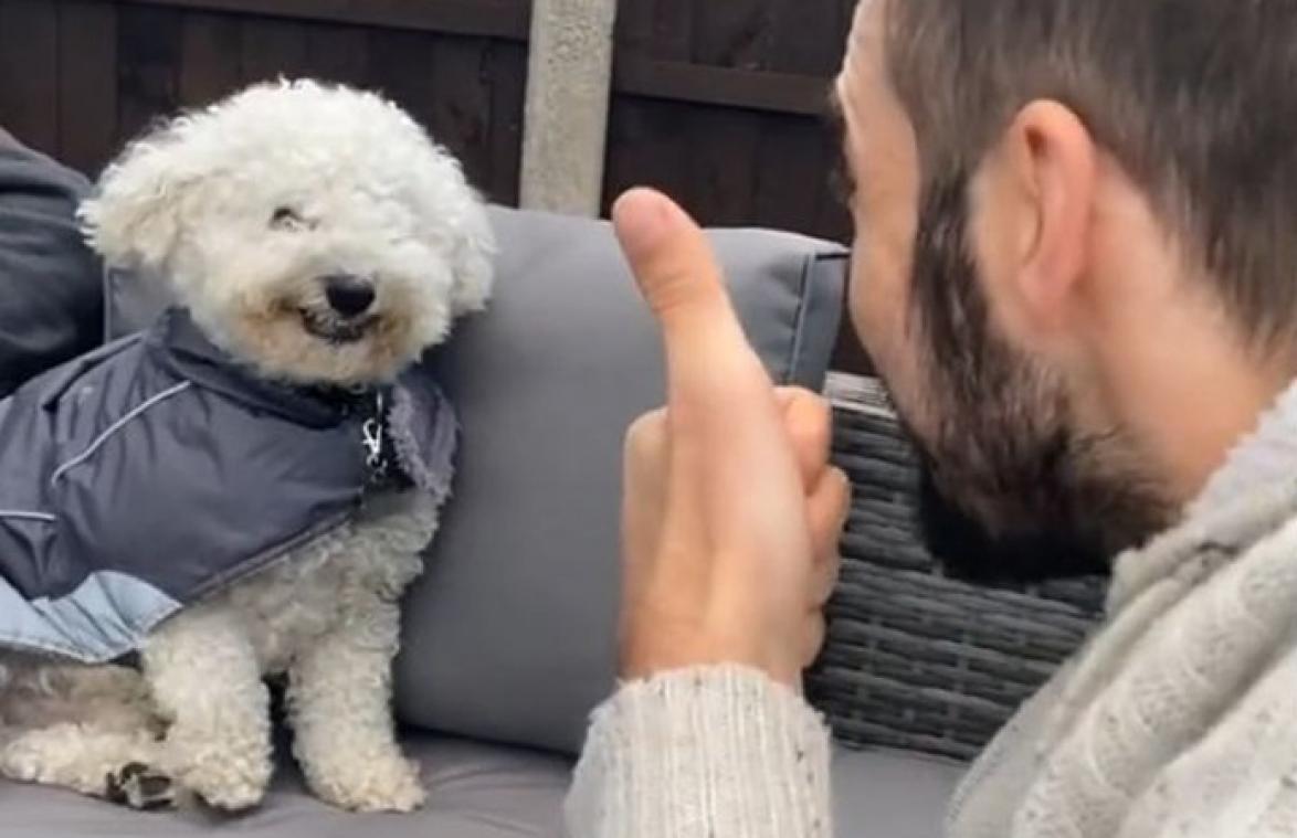 HILARISCH! Schattig hondje lacht op commando (video)