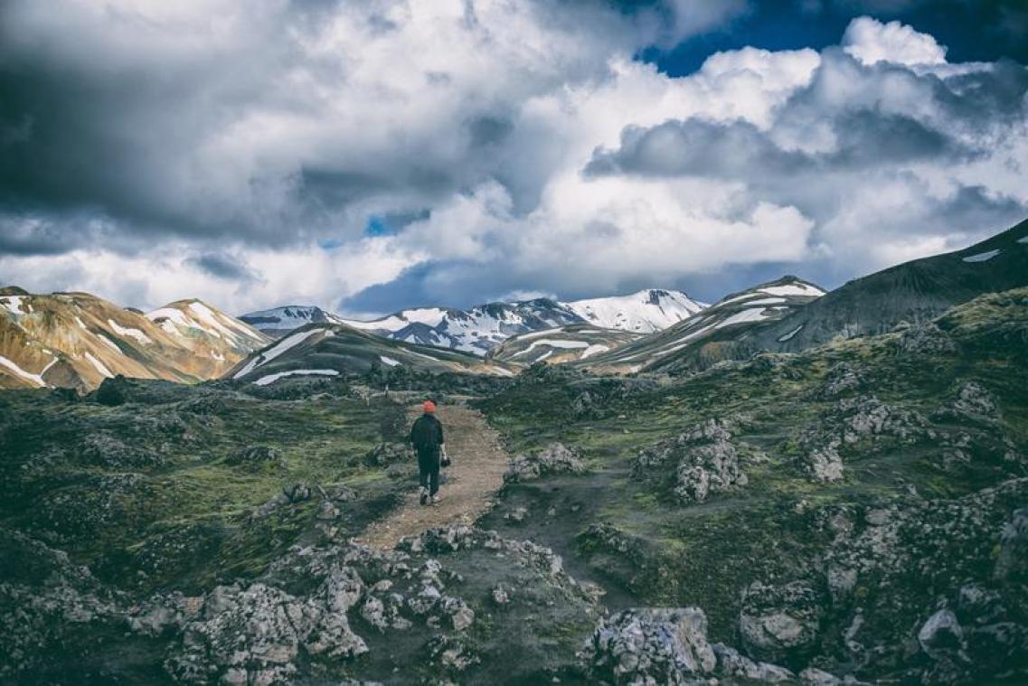 Wandelaars vallen voor ogen van familie in de Alpen de diepte in