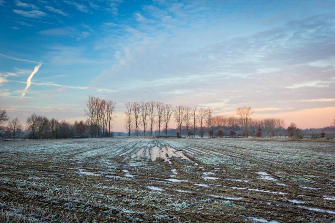 HOERA! Biodiversiteit in België ging er voorbije dertig jaar licht op vooruit