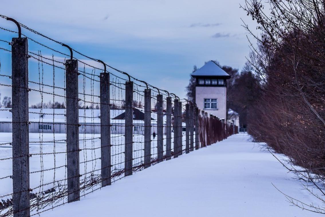 Kwart Amerikaanse jongeren gelooft niet in Holocaust