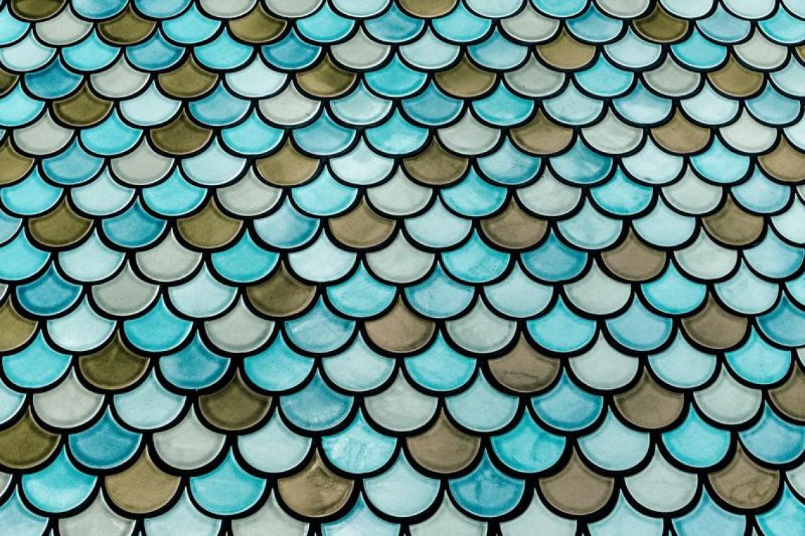 Frans bedrijf bedenkt zero waste alternatief voor leer
