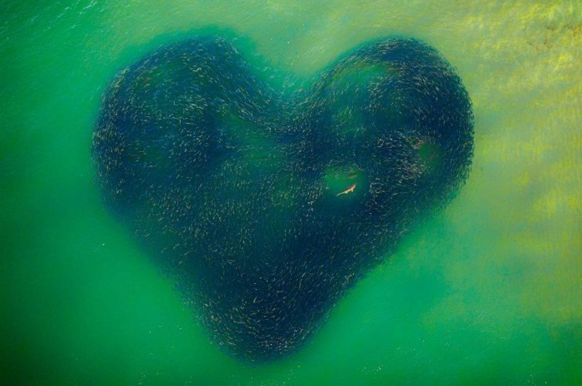 WOW. Dit zijn de beste dronefoto's van 2020