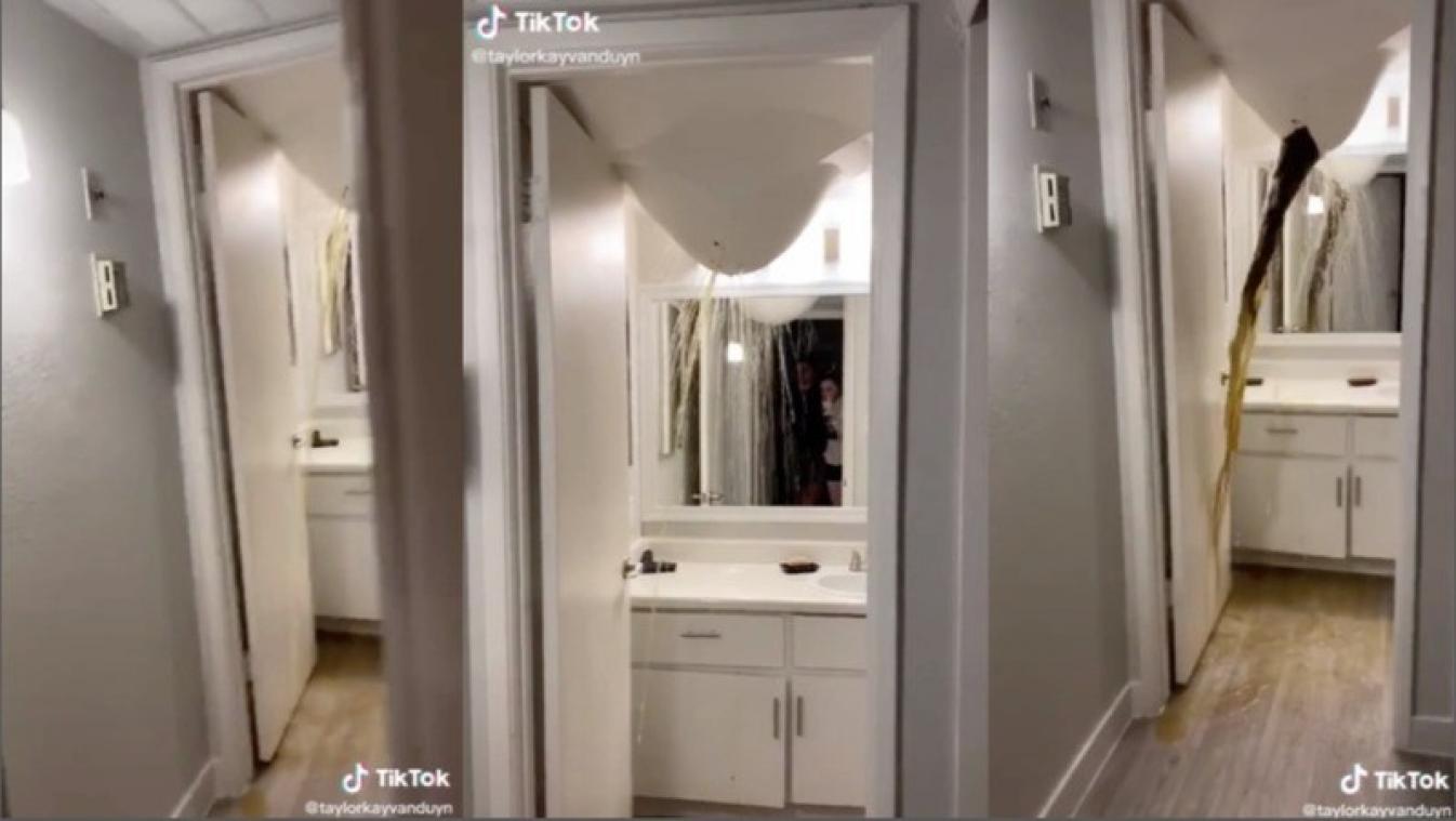Nachtmerrie voor kersverse huurders: uitwerpselen stromen uit plafond van nieuwe woonst (video)