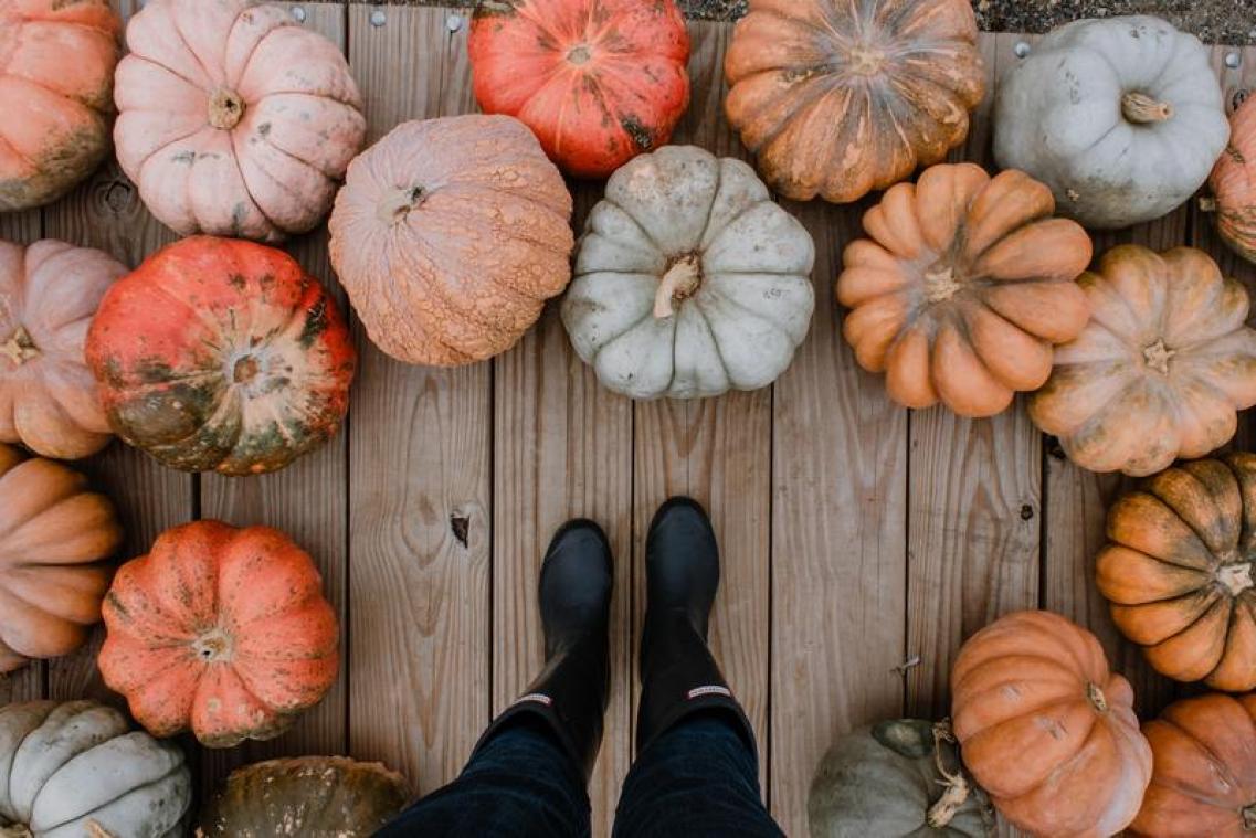 Kijk je op tegen de herfst? Een bezoekje aan de Potironnerie doet je anders denken